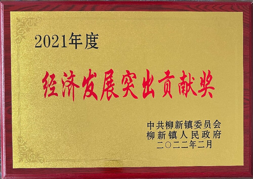 经济发展突出贡献奖.jpg